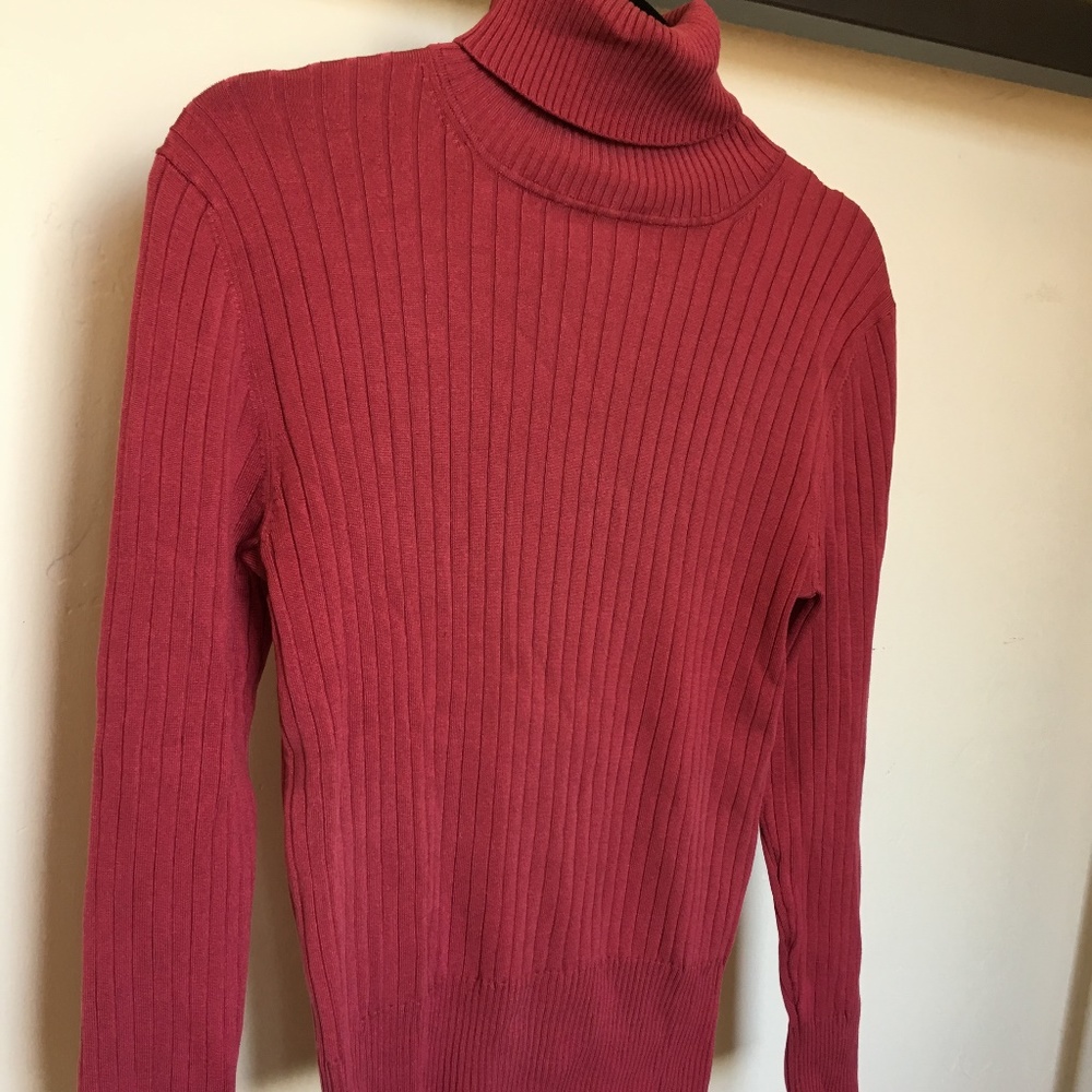 Banana Republic Pink Silk Blend Sweater (L)